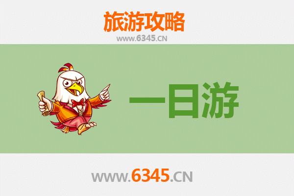 红河金平自驾一日游攻略：探秘边陲秘境，邂逅自然与人文之美